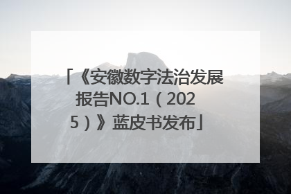 《安徽数字法治发展报告NO.1（2025）》蓝皮书发布