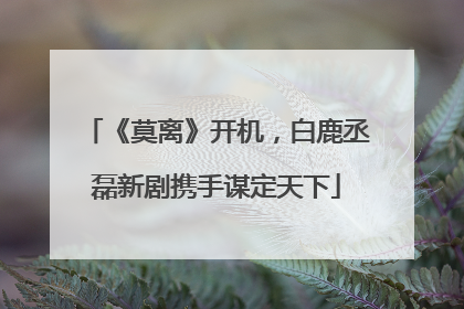《莫离》开机，白鹿丞磊新剧携手谋定天下