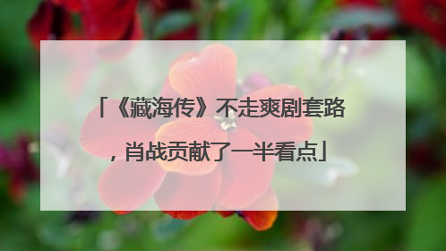 《藏海传》不走爽剧套路，肖战贡献了一半看点