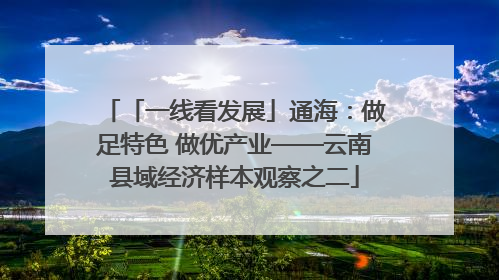 「一线看发展」通海：做足特色 做优产业——云南县域经济样本观察之二