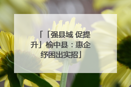 「强县域 促提升」榆中县：惠企纾困出实招