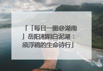 「每日一图@湖南」岳阳湘阴白泥湖：须浮鸥的生命诗行