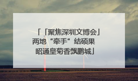 「聚焦深圳文博会」两地“牵手”结硕果 昭通皇菊香飘鹏城