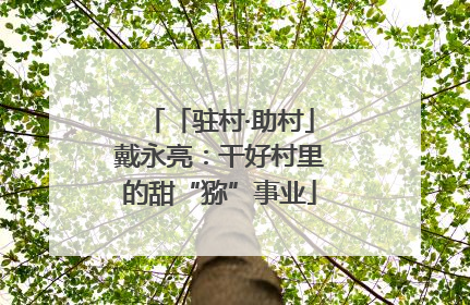 「驻村·助村」戴永亮：干好村里的甜“猕”事业