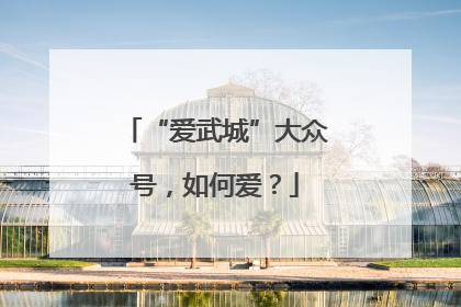 “爱武城”大众号，如何爱？
