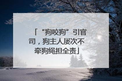 “狗咬狗”引官司，狗主人屡次不牵狗绳担全责