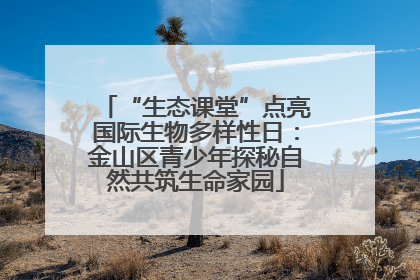“生态课堂”点亮国际生物多样性日：金山区青少年探秘自然共筑生命家园