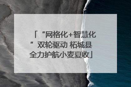 “网格化+智慧化”双轮驱动 柘城县全力护航小麦夏收