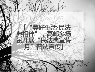 “美好生活·民法典相伴”，高邮多场景开展“民法典宣传月”普法宣传
