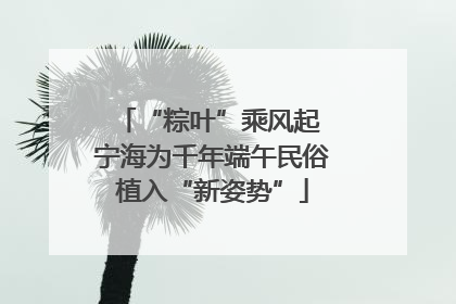 “粽叶”乘风起 宁海为千年端午民俗植入“新姿势”