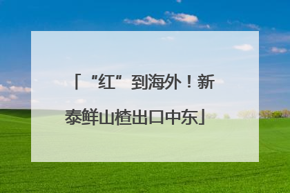 “红”到海外！新泰鲜山楂出口中东
