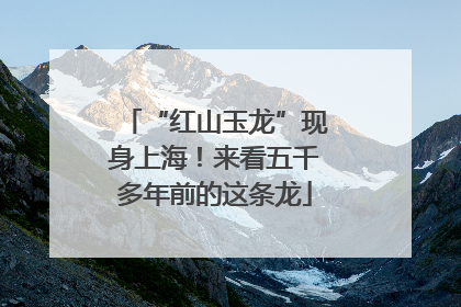 “红山玉龙”现身上海！来看五千多年前的这条龙