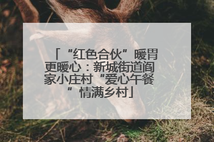 “红色合伙”暖胃更暖心：新城街道阎家小庄村“爱心午餐”情满乡村