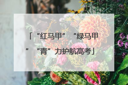 “红马甲”“绿马甲”“青”力护航高考
