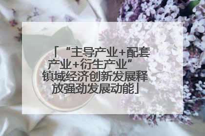 “主导产业+配套产业+衍生产业” 镇域经济创新发展释放强劲发展动能