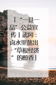“一县一品”公益宣传丨武冈：卤水里熬出“草根经济”的醇香