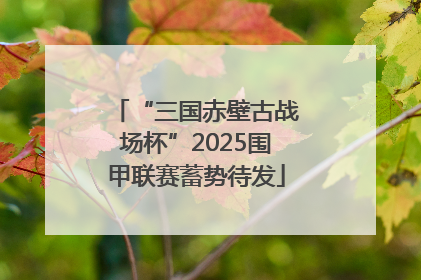“三国赤壁古战场杯”2025围甲联赛蓄势待发