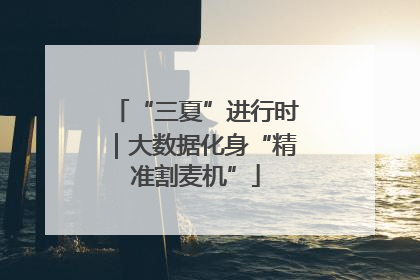 “三夏”进行时｜大数据化身“精准割麦机”