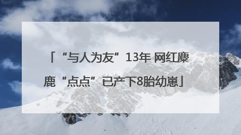 “与人为友”13年 网红麋鹿“点点”已产下8胎幼崽