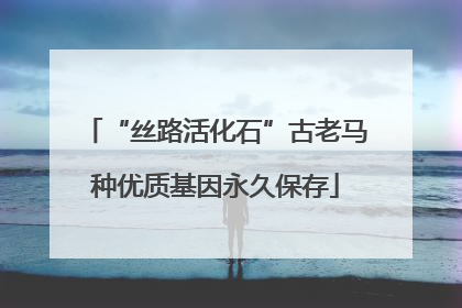 “丝路活化石”古老马种优质基因永久保存