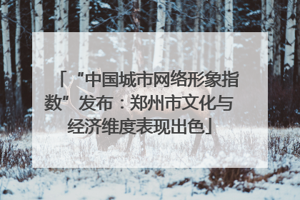 “中国城市网络形象指数”发布：郑州市文化与经济维度表现出色