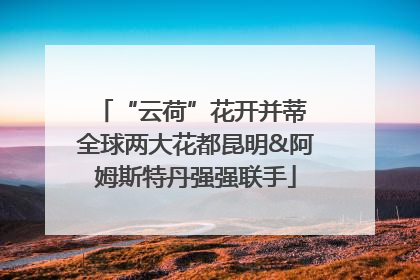 “云荷”花开并蒂 全球两大花都昆明&阿姆斯特丹强强联手