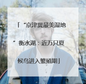 “京津冀最美湿地”衡水湖：近万只夏候鸟进入繁殖期