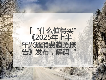 “什么值得买”《2025年上半年兴趣消费趋势报告》发布，解码“心价比”时代兴趣消费新范式