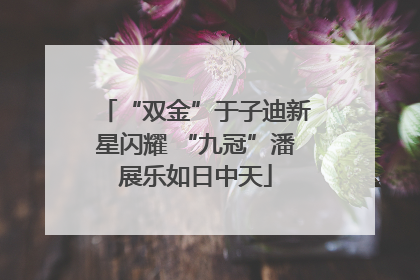 “双金”于子迪新星闪耀 “九冠”潘展乐如日中天