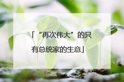 “再次伟大”的只有总统家的生意