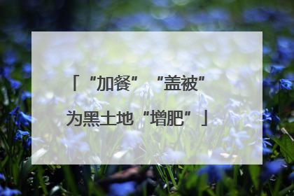 “加餐”“盖被” 为黑土地“增肥”
