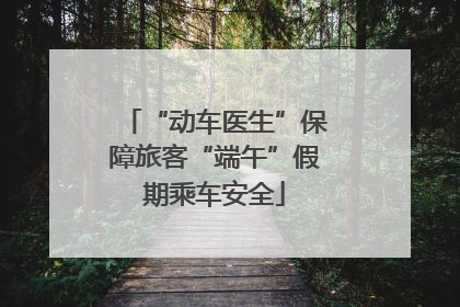 “动车医生”保障旅客“端午”假期乘车安全