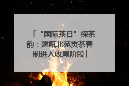 “国际茶日”探茶韵：建瓯北苑贡茶春制进入收尾阶段