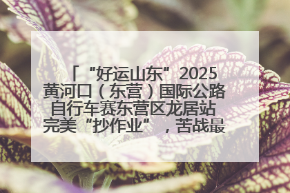 “好运山东”2025黄河口（东营）国际公路自行车赛东营区龙居站 完美“抄作业”，苦战最后时刻黄衫易主