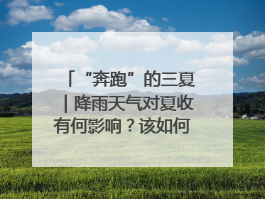 “奔跑”的三夏｜降雨天气对夏收有何影响？该如何防范？一文了解