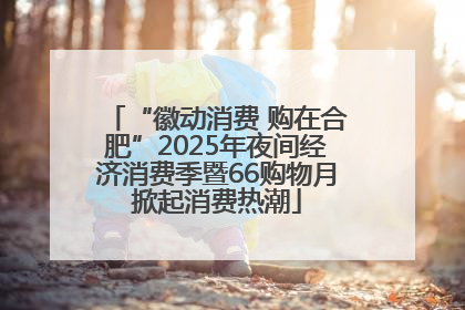 “徽动消费 购在合肥”2025年夜间经济消费季暨66购物月掀起消费热潮