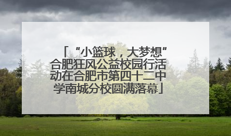 “小篮球，大梦想”合肥狂风公益校园行活动在合肥市第四十二中学南城分校圆满落幕