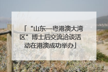 “山东—粤港澳大湾区”博士后交流洽谈活动在港澳成功举办