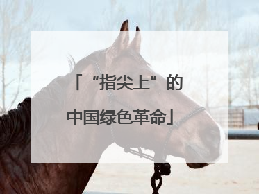 “指尖上”的中国绿色革命