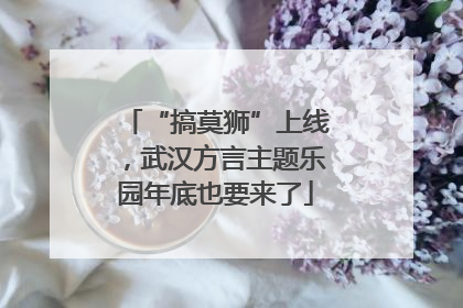 “搞莫狮”上线，武汉方言主题乐园年底也要来了