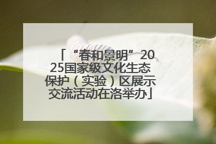 “春和景明”2025国家级文化生态保护（实验）区展示交流活动在洛举办