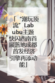 “潮玩顶流”Labubu主题快闪西南首展落地成都 首发经济引擎再添动能