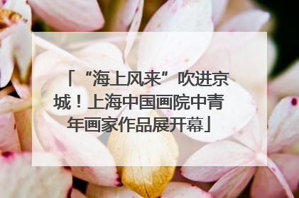 “海上风来”吹进京城！上海中国画院中青年画家作品展开幕