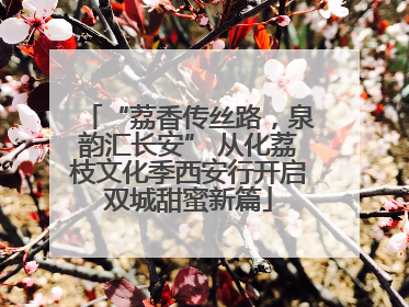 “荔香传丝路，泉韵汇长安” 从化荔枝文化季西安行开启双城甜蜜新篇