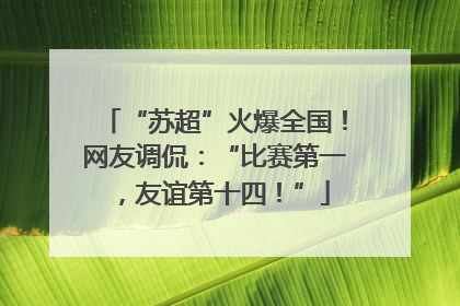 “苏超”火爆全国！网友调侃：“比赛第一，友谊第十四！”