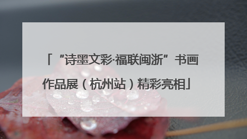 “诗墨文彩·福联闽浙”书画作品展（杭州站）精彩亮相