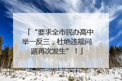 “要求全市民办高中举一反三，杜绝违规问题再次发生”！