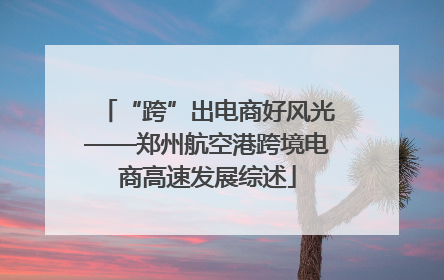 “跨”出电商好风光——郑州航空港跨境电商高速发展综述