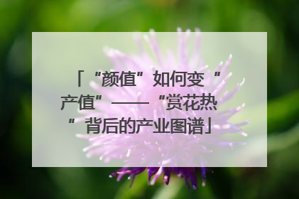 “颜值”如何变“产值”——“赏花热”背后的产业图谱