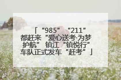 “985”“211”都赶来“爱心送考·为梦护航” 镇江“镇悦行”车队正式发车“赶考”